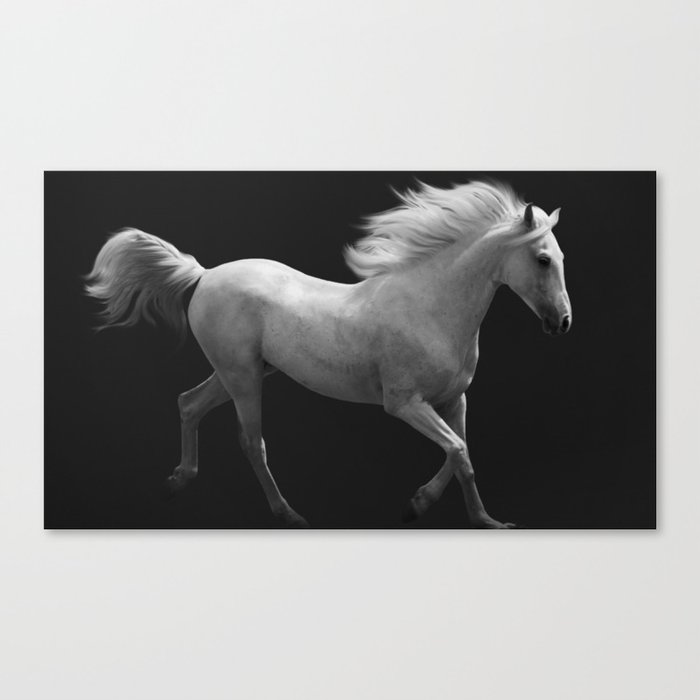Ghost Riders in the Night - White Horse in Full Gallop black and white photography / photographs wal Canvas Print