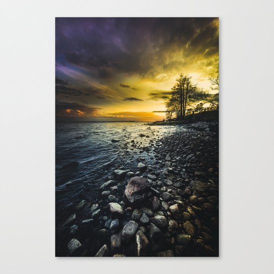 Aureus Canvas Print