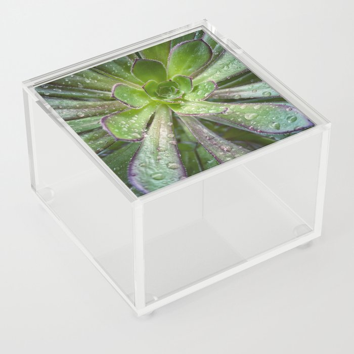 Raindrops  Acrylic Box