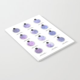 Zodiac Chart | Nebula Notebook