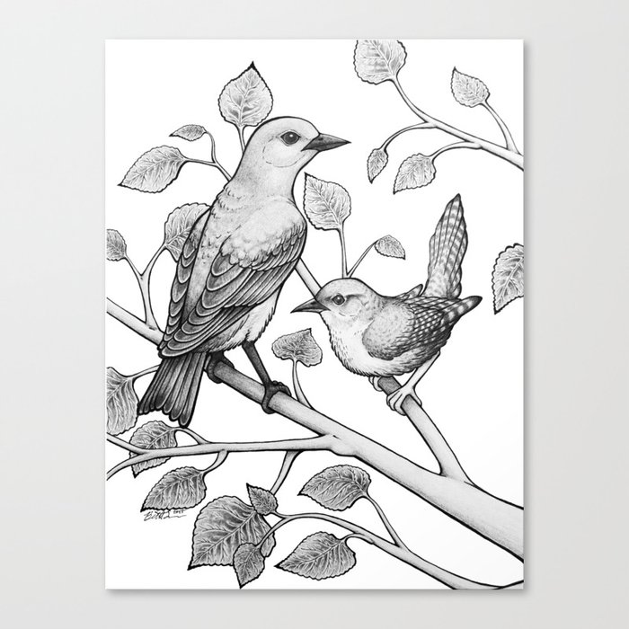 Bluebird & Wren Canvas Print