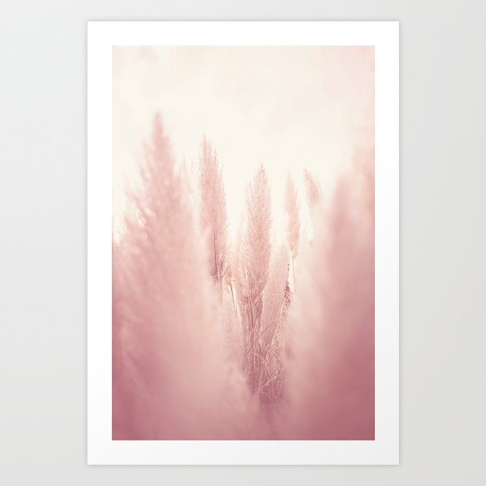 Pink Pampas Grass x Botanical Art Print