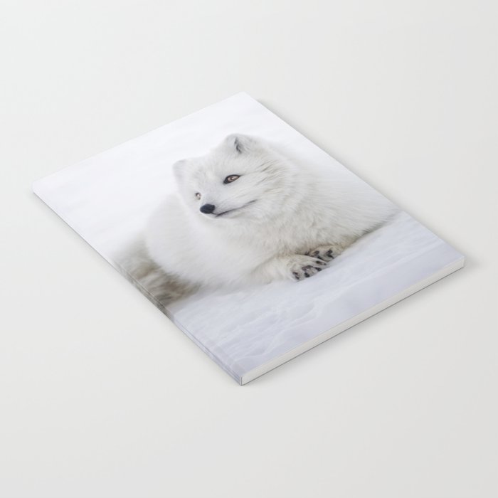 White snow arctic fox Notebook