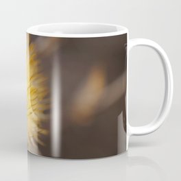 Dry flower Coffee Mug