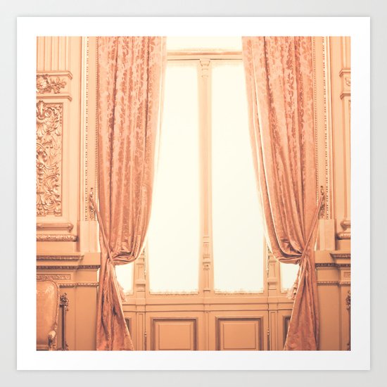Rose Smoke Room Art Print