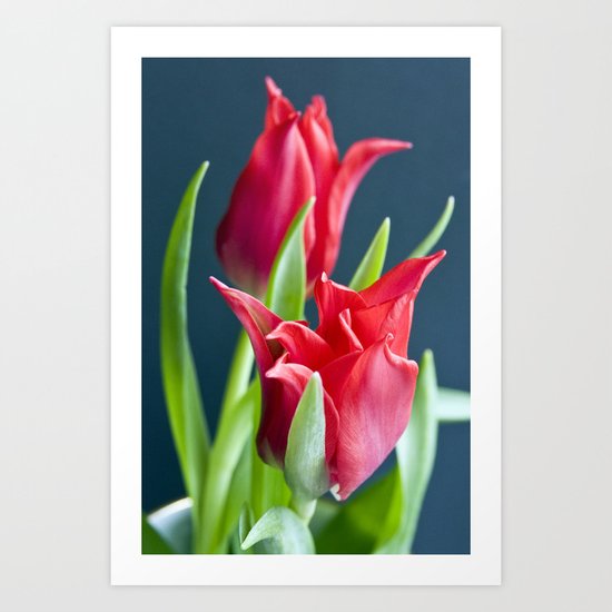 harmony Art Print