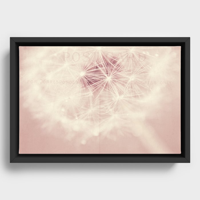 Framed Canvas