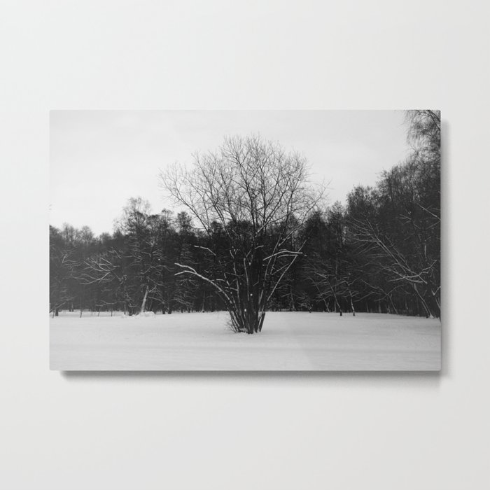 Lone tree Metal Print