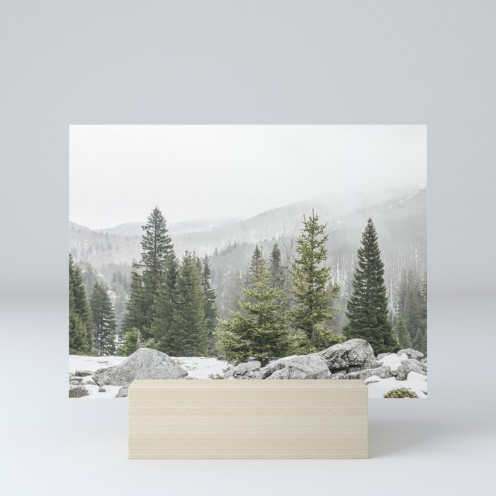Winter Forest Landscape  Mini Art Print