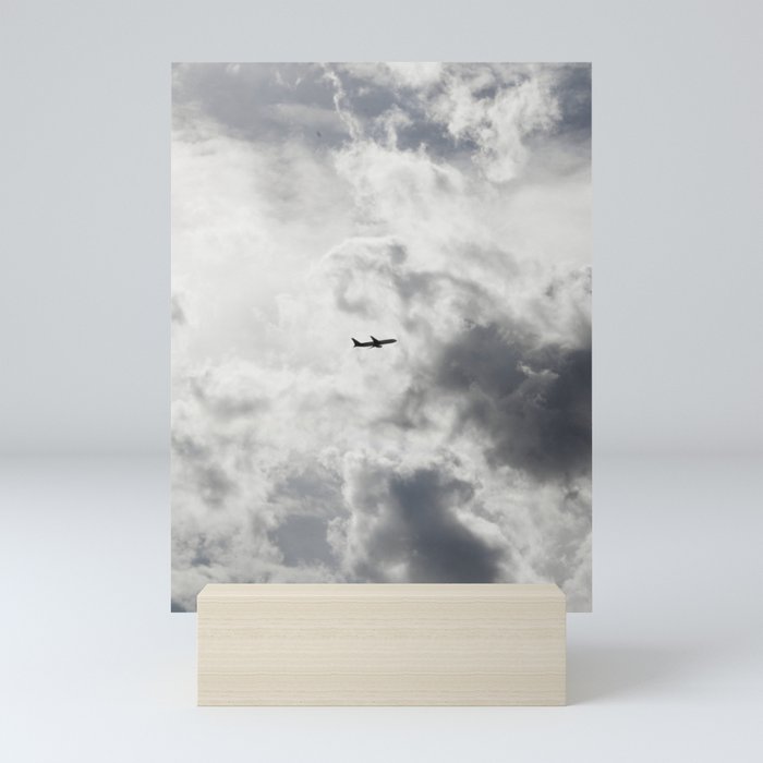 fly Mini Art Print
