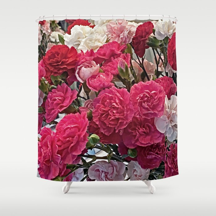 Carnations  Shower Curtain