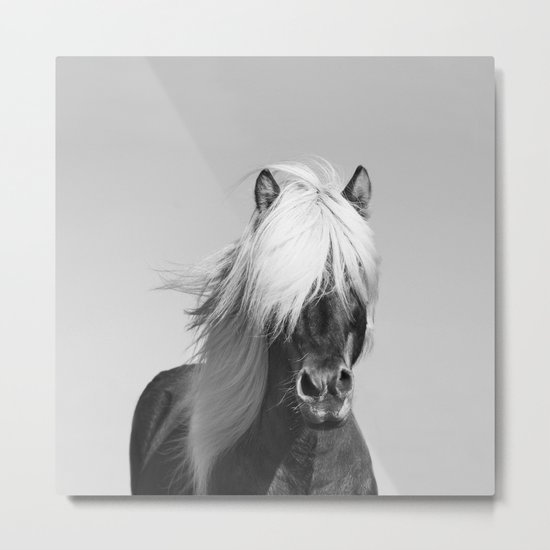 Portrait of a Horse in Scotish Highlands Metal Print