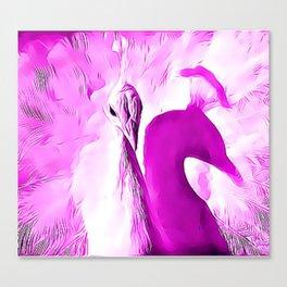 Pink Peacock Canvas Print