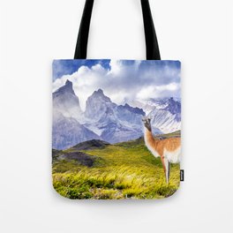 Patagonia landscape in Torres del Paine, Chile Tote Bag