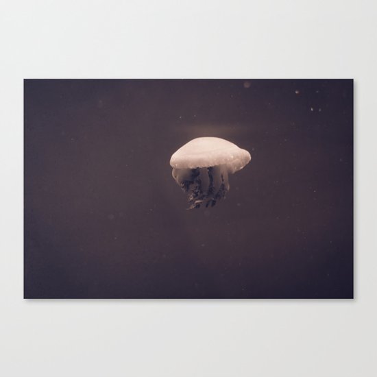Jelly No. 2 Canvas Print