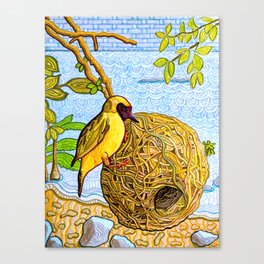 Masked Weaver -Lake Malawi Canvas Print