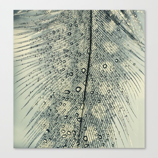 feather blue Canvas Print