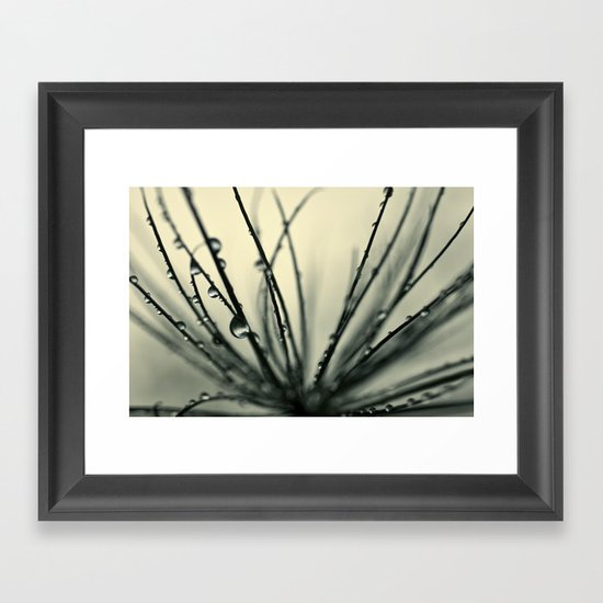 papyrus Framed Art Print