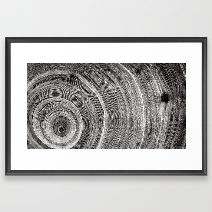 Detailed Black and White Tree Rings Framed Art Print