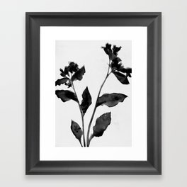 Black and White Moody Floral 2 Framed Art Print