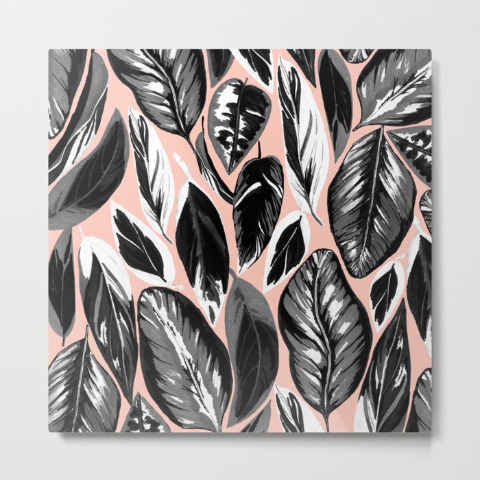 Calathea black & grey leaves with pale background Metal Print