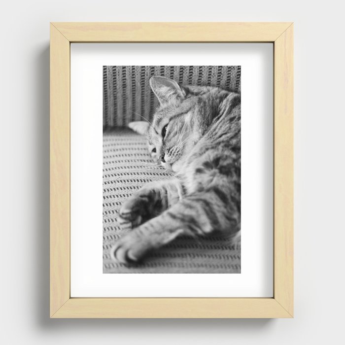 Cat Recessed Framed Print