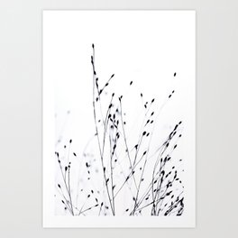 BLACK GRASS Art Print