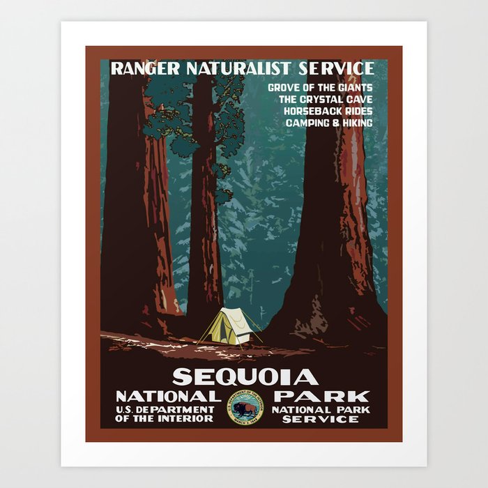 Sequoia National Park (B) Art Print