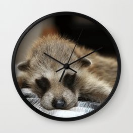 Baby Raccoon  Wall Clock