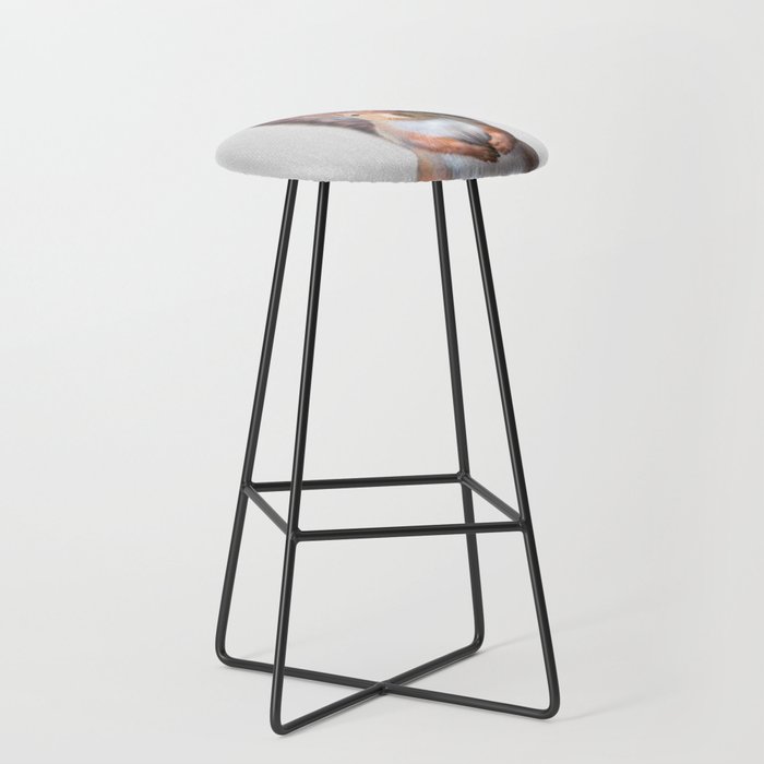 Bar Stool