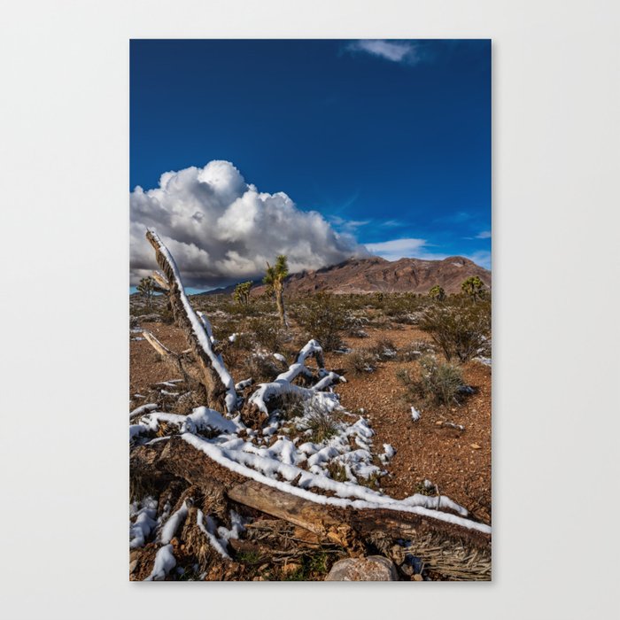Desert Snow 4922 -  Southern Nevada Canvas Print