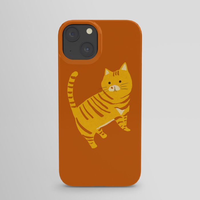 Orange Tabby Cat iPhone Case