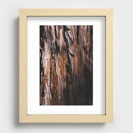 the redwood sleeps beneath the shade Recessed Framed Print