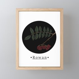 Rowan Tree (Color) Framed Mini Art Print