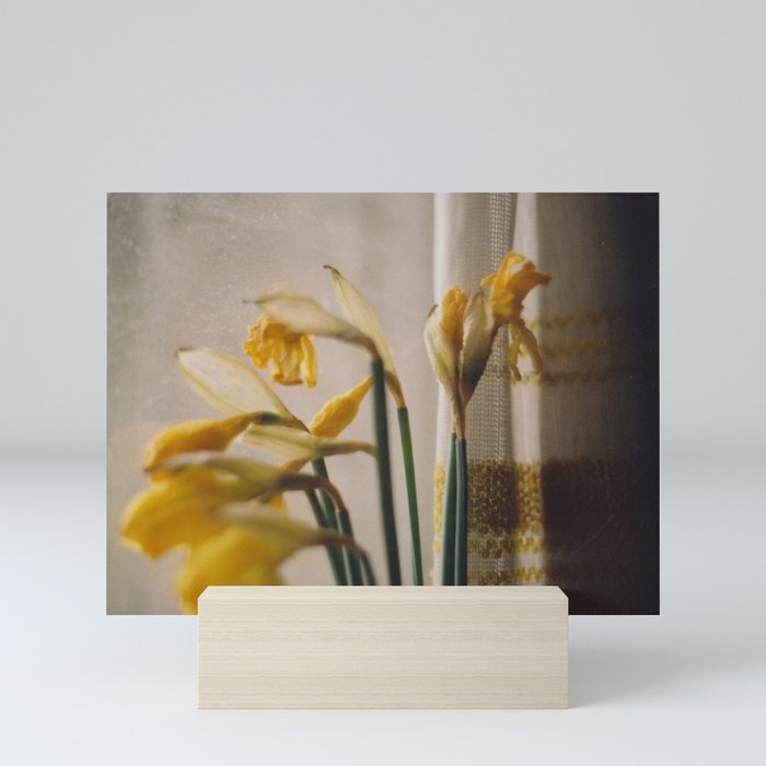 Daffodils Mini Art Print