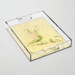 Praying Mantis Acrylic Tray