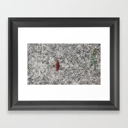 Orange Caterpillar Friend Framed Art Print
