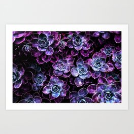 Sparkle Succulents Magenta Purple Aqua Art Print