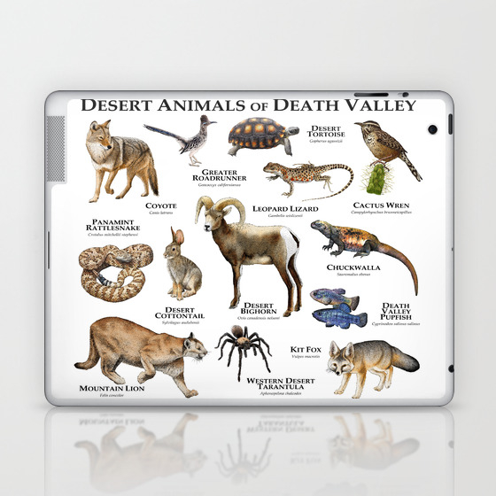 Desert Animals Of Death Valley Laptop Ipad Skin By Wildlife Art Society6