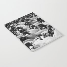 Funny Flock Of Sheep Black And White Pic  Notebook