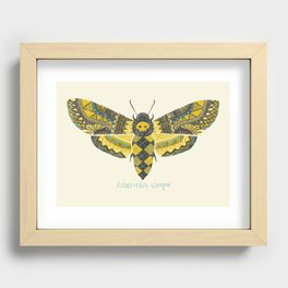 "Acherontia atropos" Moth Recessed Framed Print
