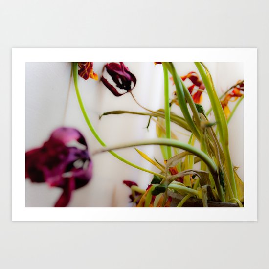 Seasons Past Art Print
