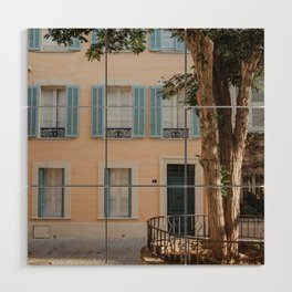 Pastel house in the South of France | Travel Photography Wood Wall Art