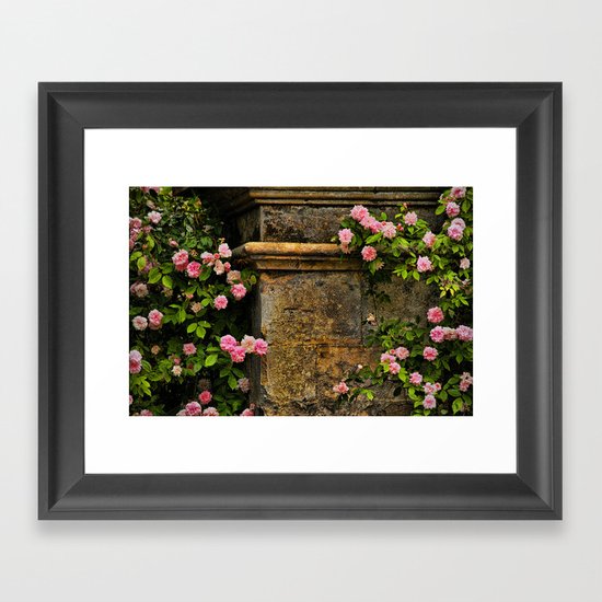 Stones and Roses Framed Art Print
