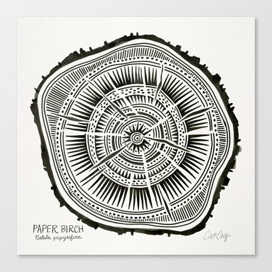 Paper Birch – Black Tree Rings Canvas Print