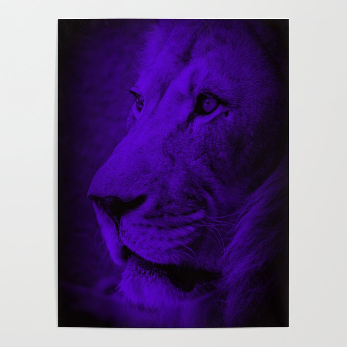 Indigo Lion Poster