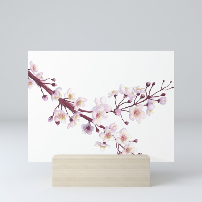 Cherry Blossom/Sakura  Mini Art Print