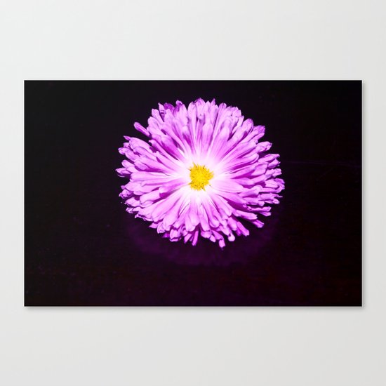 FLOWER Canvas Print
