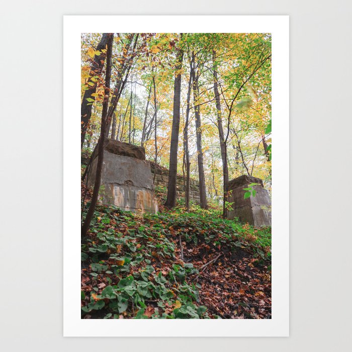 Fall Colors in the Forest | Nature Photography Art Print