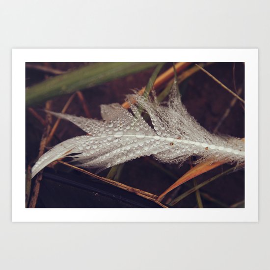 Beach Feathers 3 Art Print